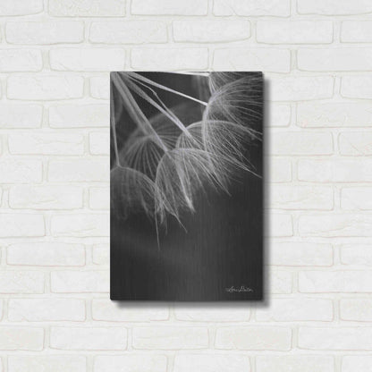 Luxe Metal Art 'Goatsbeard I' by Lori Deiter, Metal Wall Art,16x24