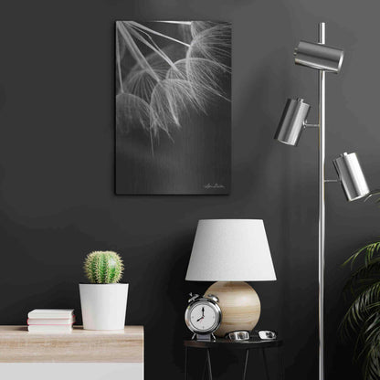 Luxe Metal Art 'Goatsbeard I' by Lori Deiter, Metal Wall Art,16x24