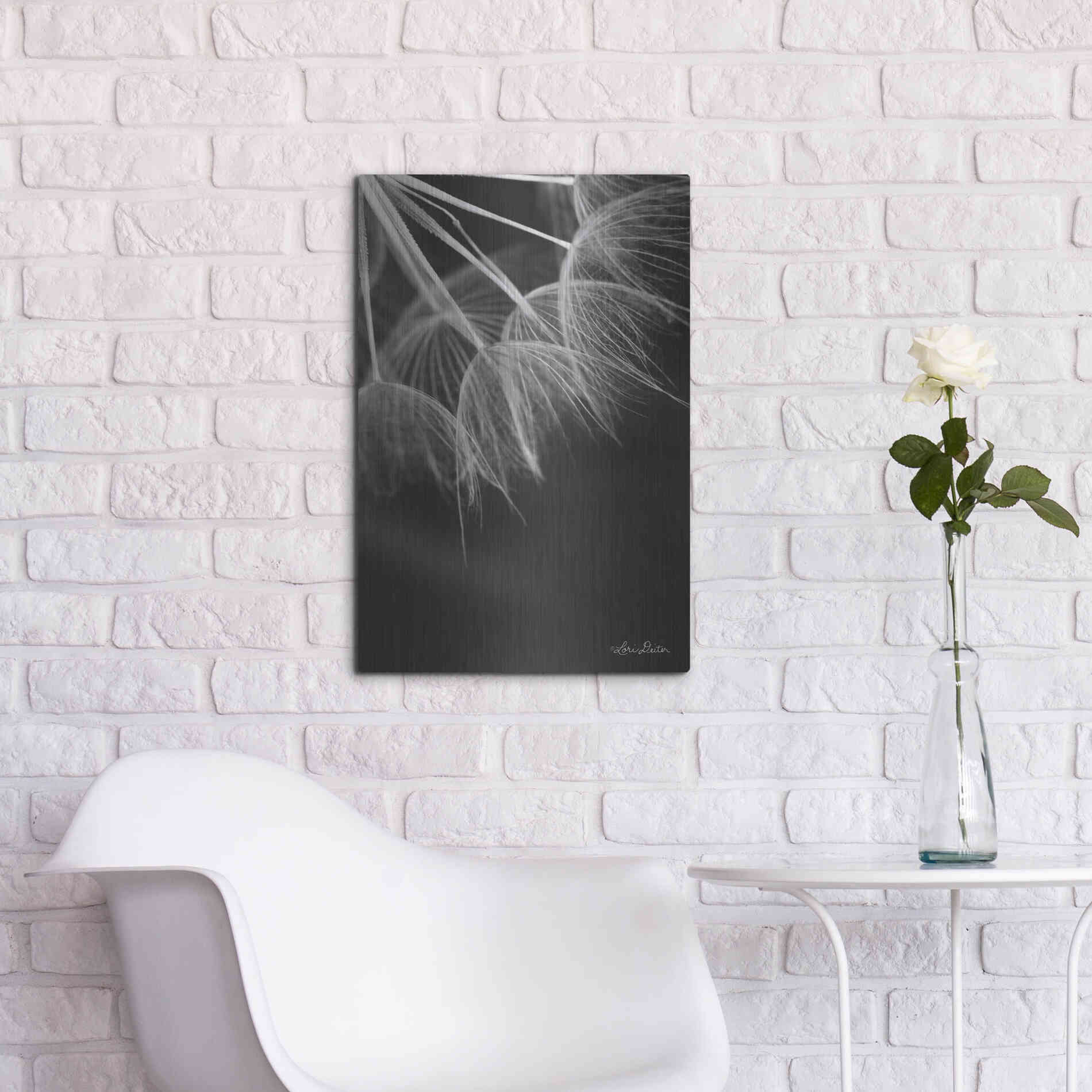 Luxe Metal Art 'Goatsbeard I' by Lori Deiter, Metal Wall Art,16x24