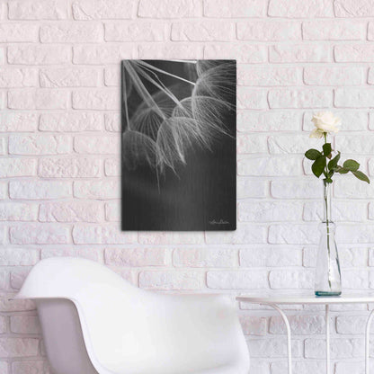 Luxe Metal Art 'Goatsbeard I' by Lori Deiter, Metal Wall Art,16x24
