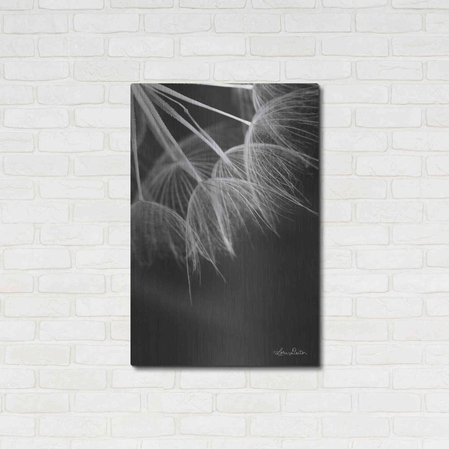 Luxe Metal Art 'Goatsbeard I' by Lori Deiter, Metal Wall Art,24x36