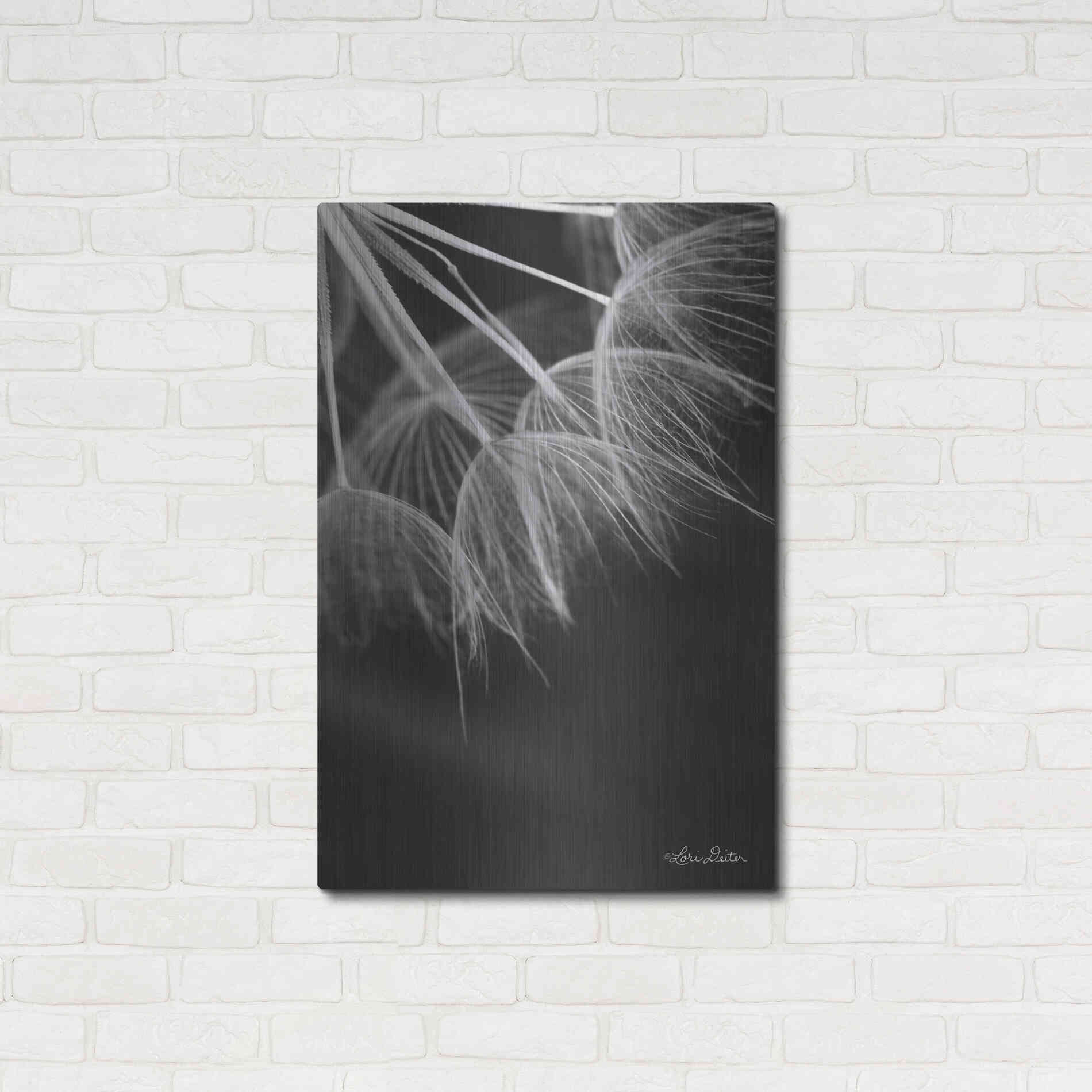 Luxe Metal Art 'Goatsbeard I' by Lori Deiter, Metal Wall Art,24x36