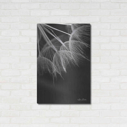 Luxe Metal Art 'Goatsbeard I' by Lori Deiter, Metal Wall Art,24x36