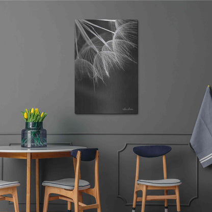 Luxe Metal Art 'Goatsbeard I' by Lori Deiter, Metal Wall Art,24x36