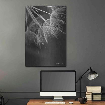 Luxe Metal Art 'Goatsbeard I' by Lori Deiter, Metal Wall Art,24x36
