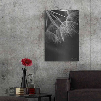 Luxe Metal Art 'Goatsbeard I' by Lori Deiter, Metal Wall Art,24x36