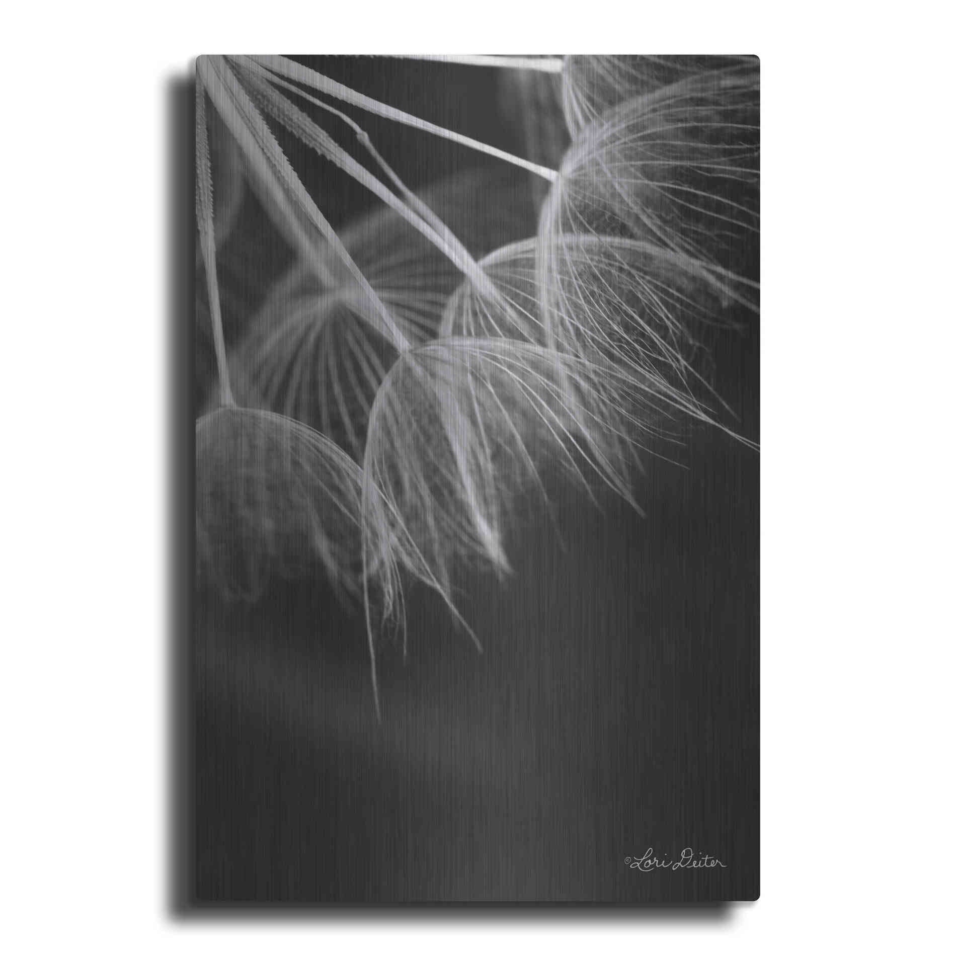 Luxe Metal Art 'Goatsbeard I' by Lori Deiter, Metal Wall Art