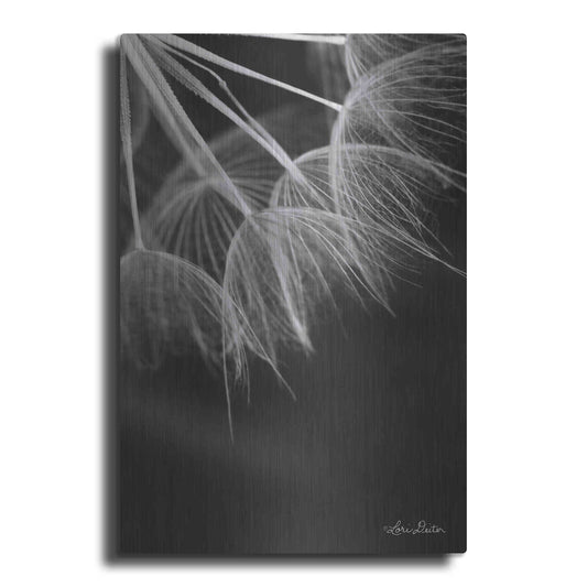 Luxe Metal Art 'Goatsbeard I' by Lori Deiter, Metal Wall Art