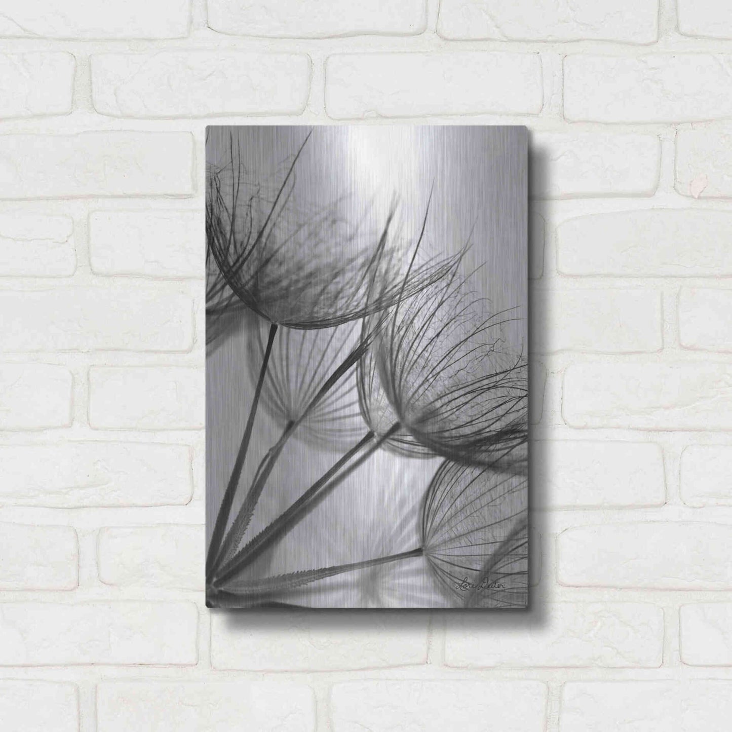 Luxe Metal Art 'Goatsbeard II' by Lori Deiter, Metal Wall Art,12x16