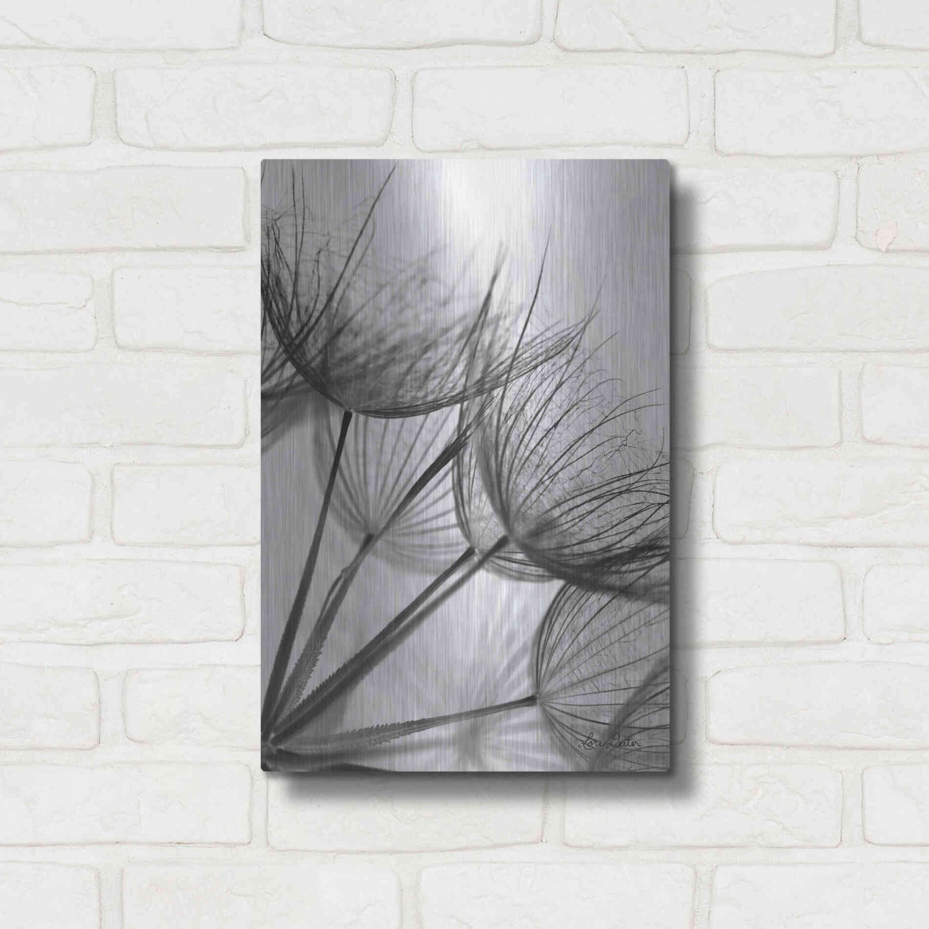 Luxe Metal Art 'Goatsbeard II' by Lori Deiter, Metal Wall Art,12x16