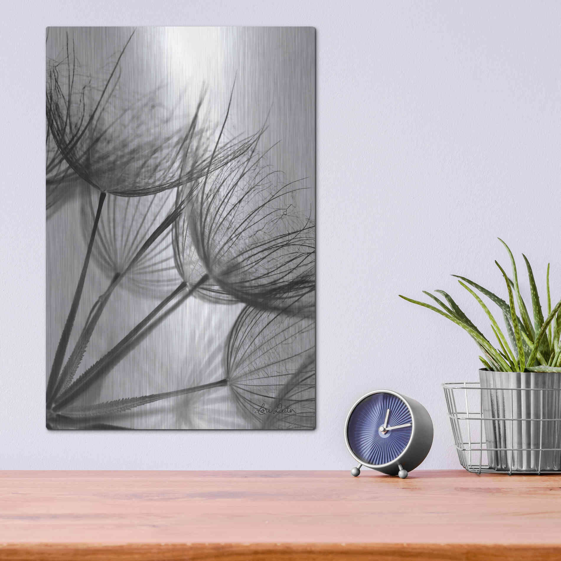 Luxe Metal Art 'Goatsbeard II' by Lori Deiter, Metal Wall Art,12x16