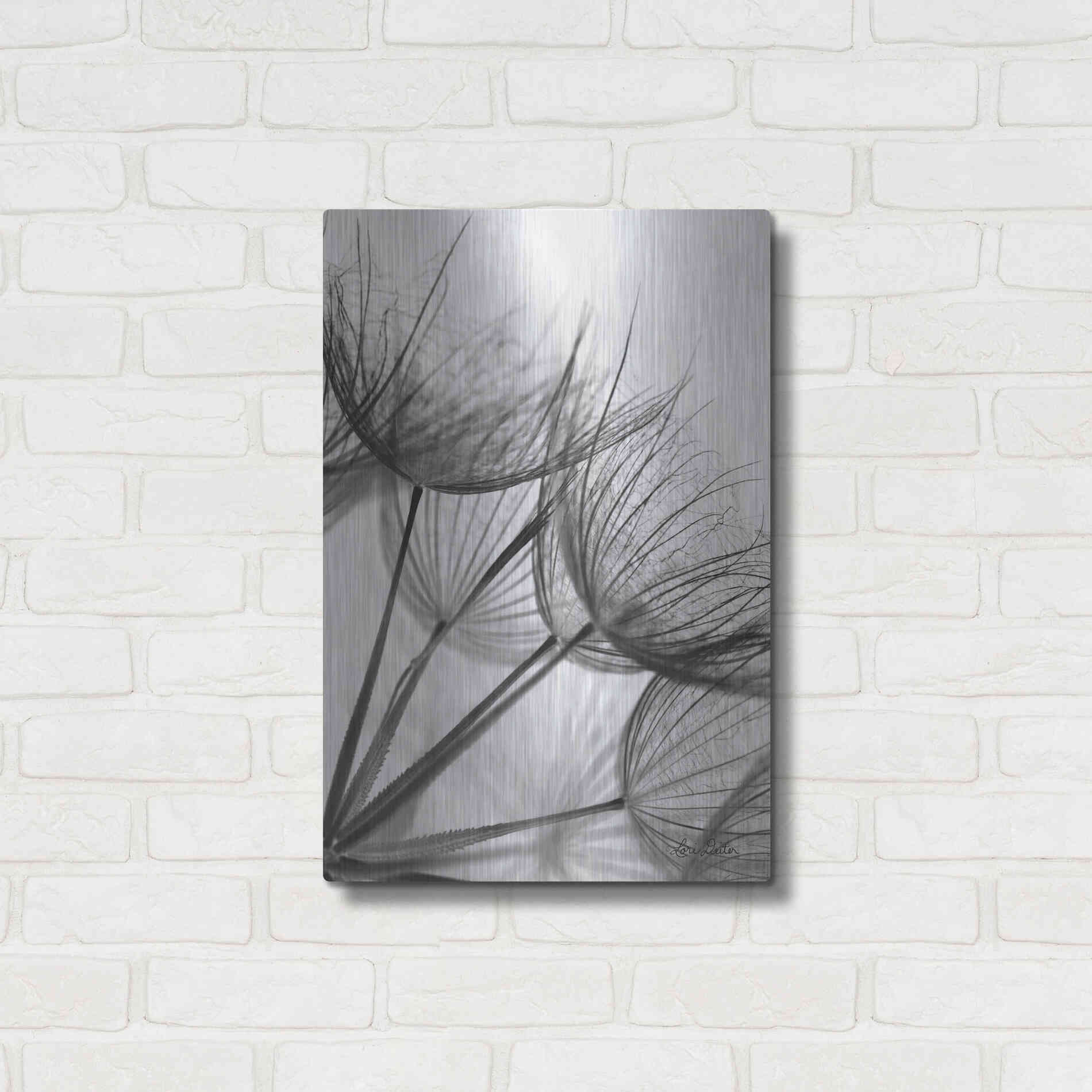 Luxe Metal Art 'Goatsbeard II' by Lori Deiter, Metal Wall Art,16x24