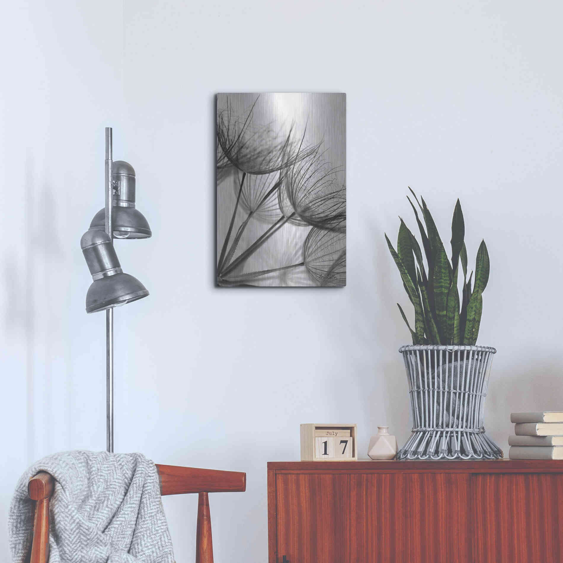 Luxe Metal Art 'Goatsbeard II' by Lori Deiter, Metal Wall Art,16x24