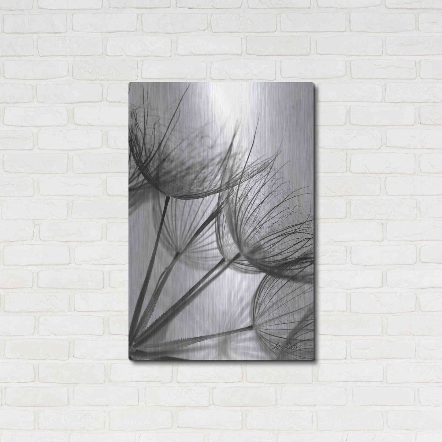 Luxe Metal Art 'Goatsbeard II' by Lori Deiter, Metal Wall Art,24x36