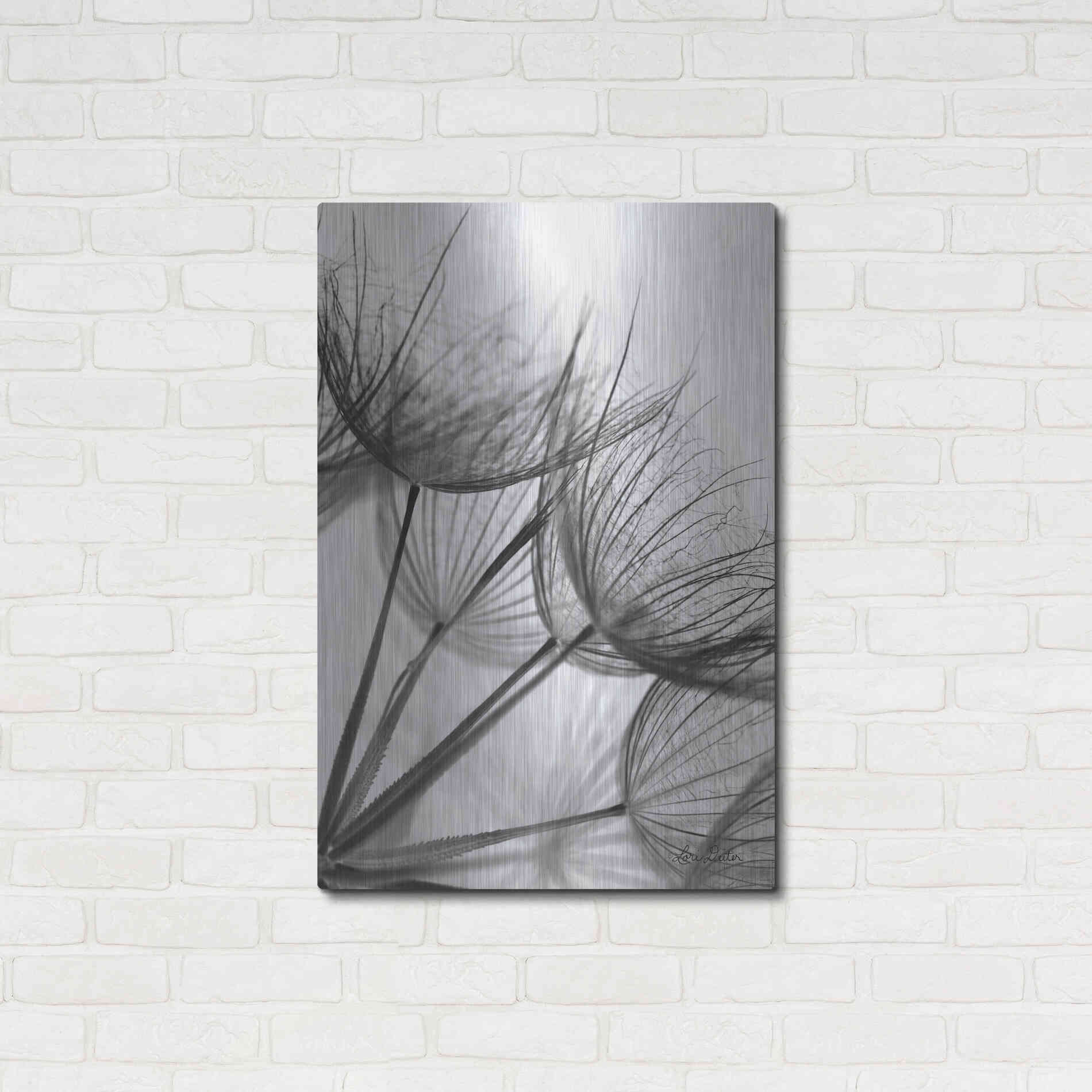 Luxe Metal Art 'Goatsbeard II' by Lori Deiter, Metal Wall Art,24x36