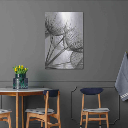 Luxe Metal Art 'Goatsbeard II' by Lori Deiter, Metal Wall Art,24x36