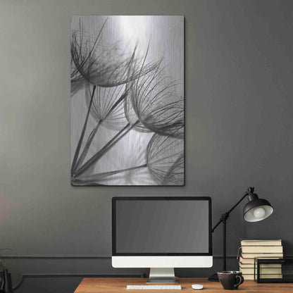 Luxe Metal Art 'Goatsbeard II' by Lori Deiter, Metal Wall Art,24x36