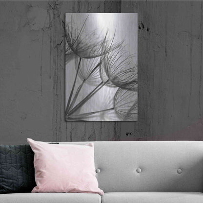 Luxe Metal Art 'Goatsbeard II' by Lori Deiter, Metal Wall Art,24x36