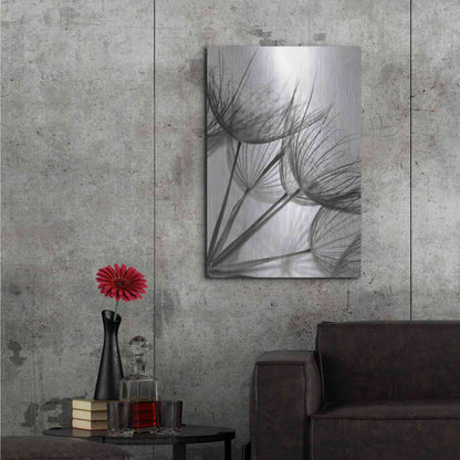 Luxe Metal Art 'Goatsbeard II' by Lori Deiter, Metal Wall Art,24x36