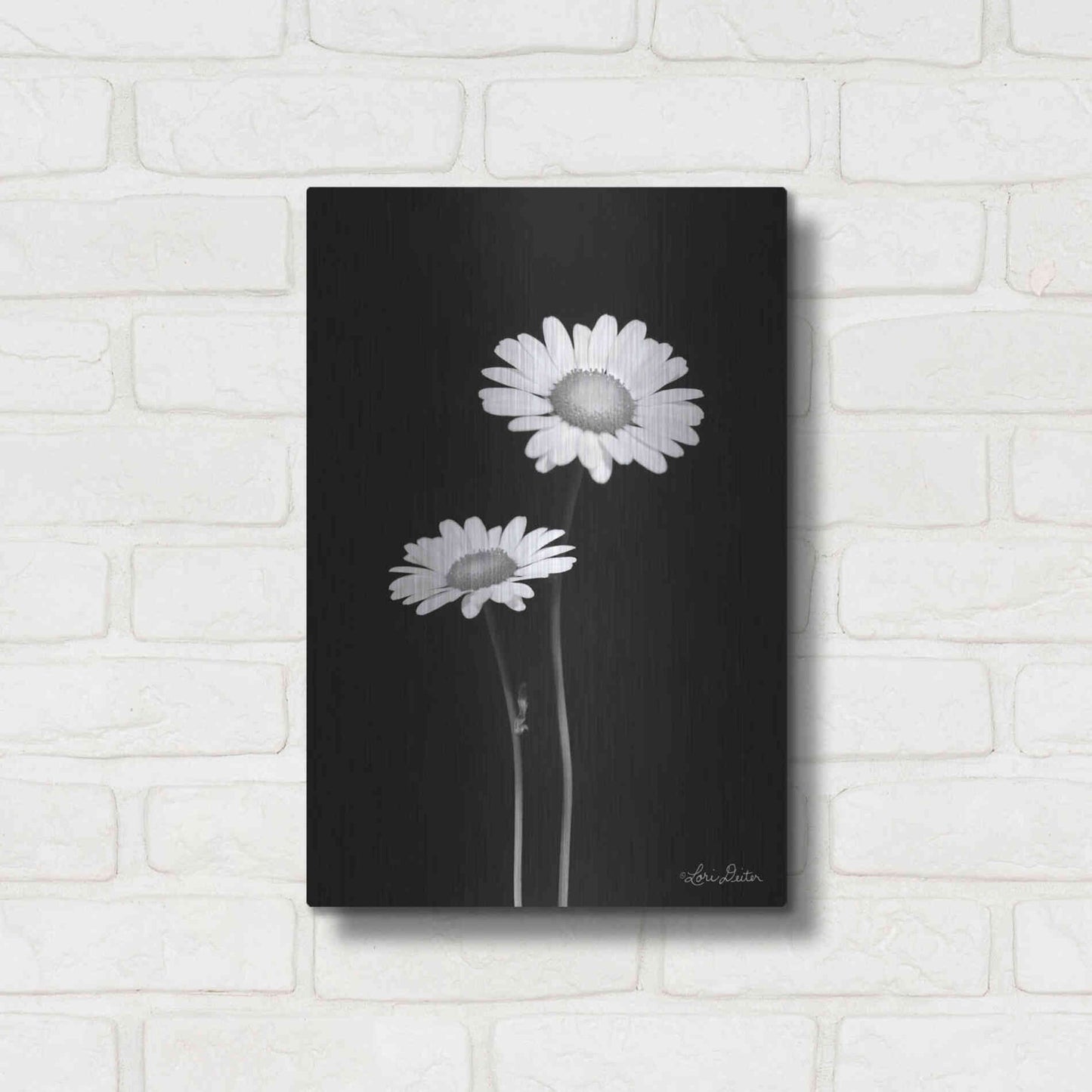 Luxe Metal Art 'Pair of Daisies' by Lori Deiter, Metal Wall Art,12x16