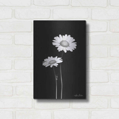 Luxe Metal Art 'Pair of Daisies' by Lori Deiter, Metal Wall Art,12x16