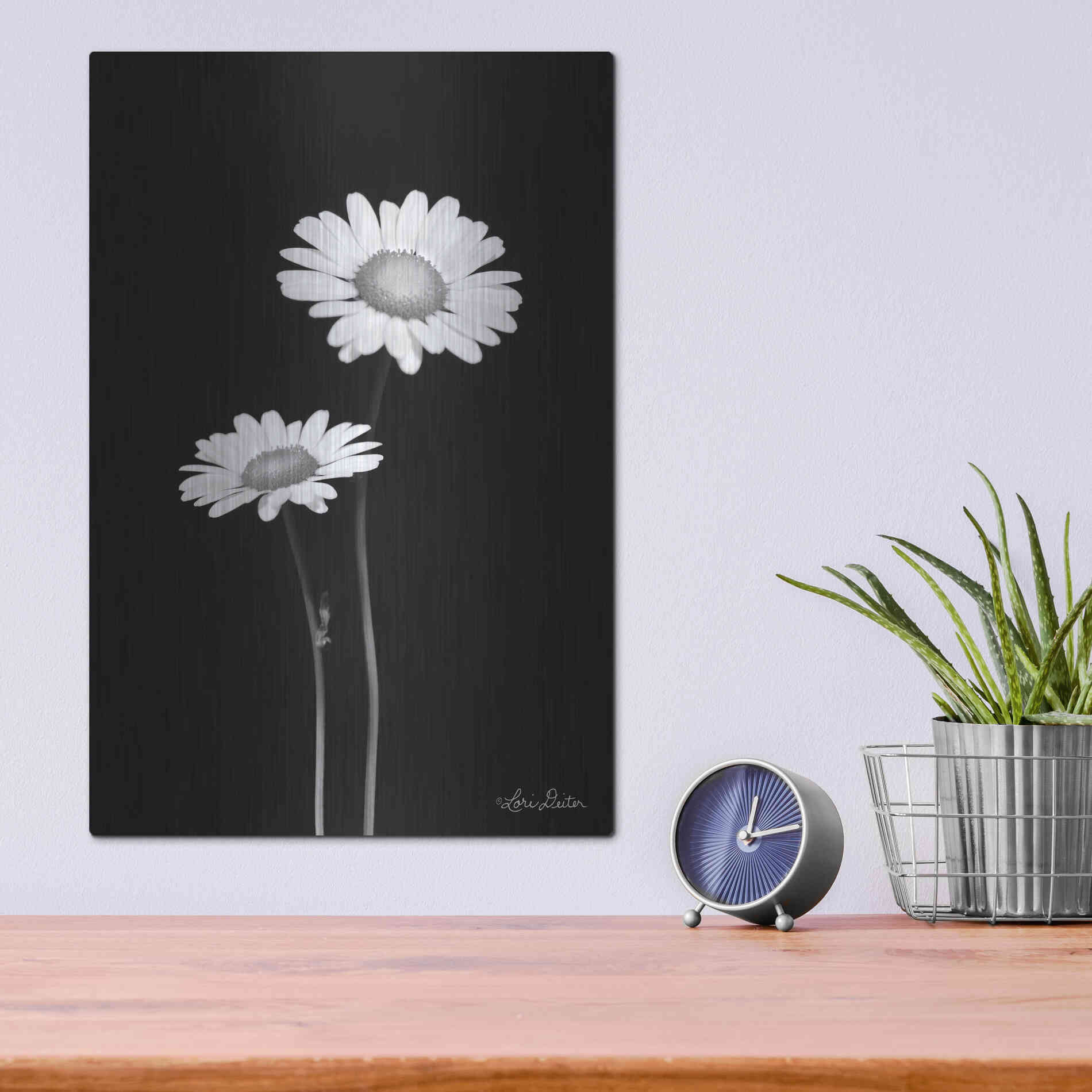 Luxe Metal Art 'Pair of Daisies' by Lori Deiter, Metal Wall Art,12x16