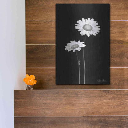 Luxe Metal Art 'Pair of Daisies' by Lori Deiter, Metal Wall Art,12x16