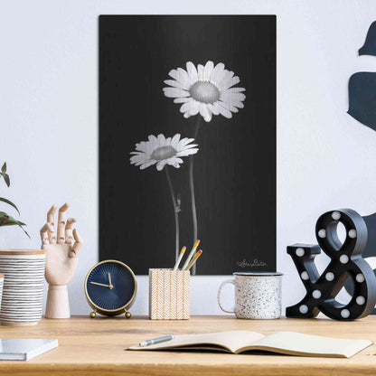 Luxe Metal Art 'Pair of Daisies' by Lori Deiter, Metal Wall Art,12x16