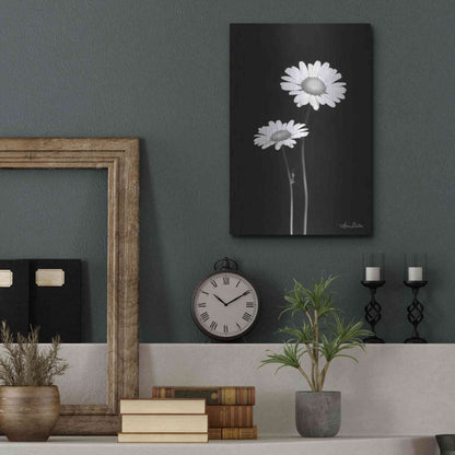 Luxe Metal Art 'Pair of Daisies' by Lori Deiter, Metal Wall Art,12x16