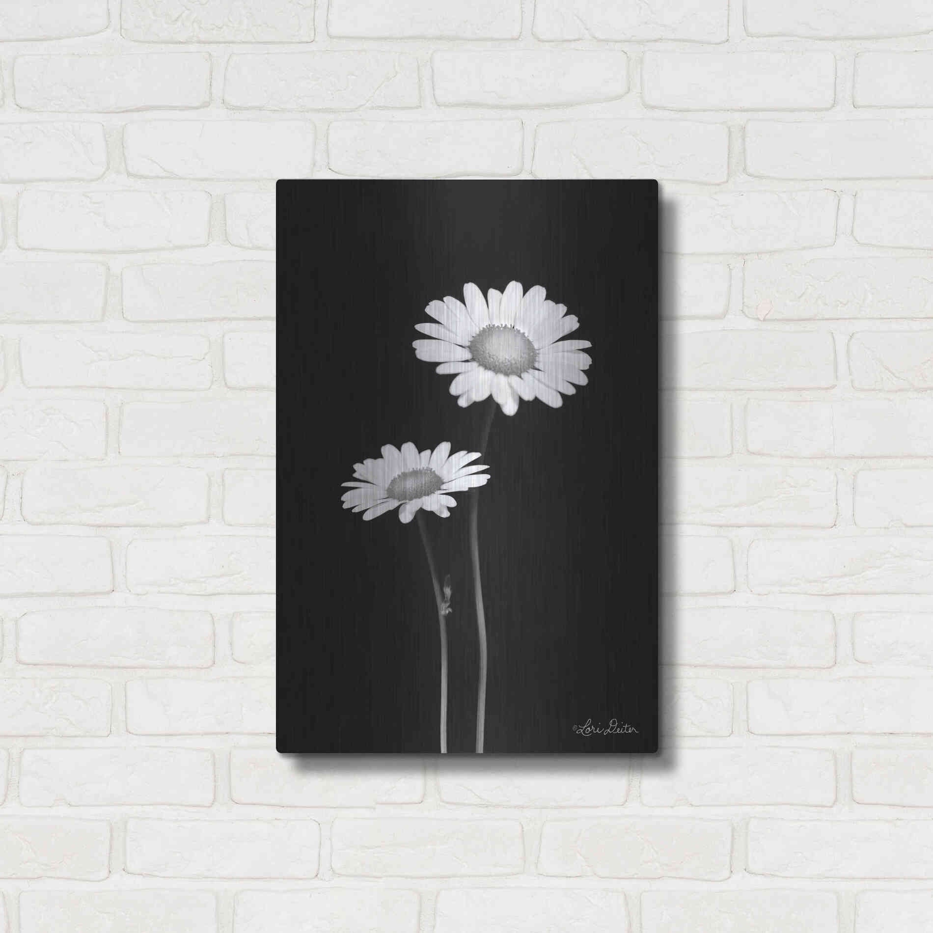 Luxe Metal Art 'Pair of Daisies' by Lori Deiter, Metal Wall Art,16x24