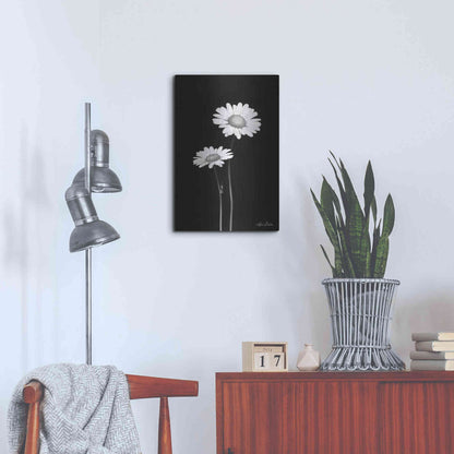 Luxe Metal Art 'Pair of Daisies' by Lori Deiter, Metal Wall Art,16x24