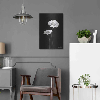 Luxe Metal Art 'Pair of Daisies' by Lori Deiter, Metal Wall Art,16x24