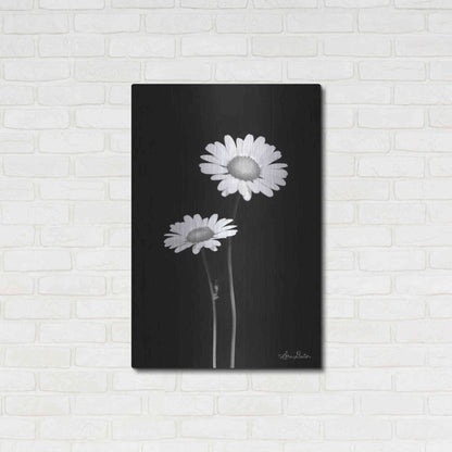 Luxe Metal Art 'Pair of Daisies' by Lori Deiter, Metal Wall Art,24x36