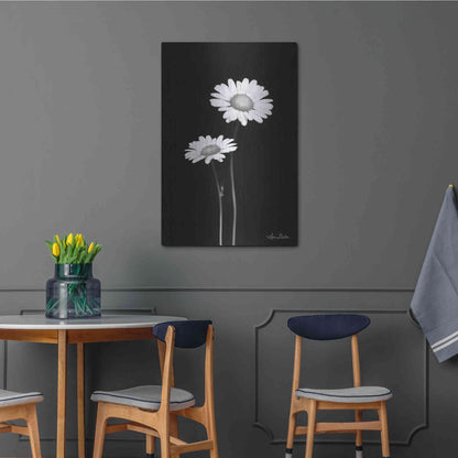 Luxe Metal Art 'Pair of Daisies' by Lori Deiter, Metal Wall Art,24x36