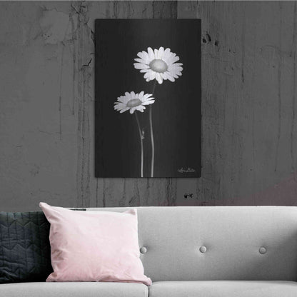 Luxe Metal Art 'Pair of Daisies' by Lori Deiter, Metal Wall Art,24x36