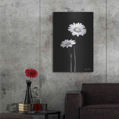 Luxe Metal Art 'Pair of Daisies' by Lori Deiter, Metal Wall Art,24x36