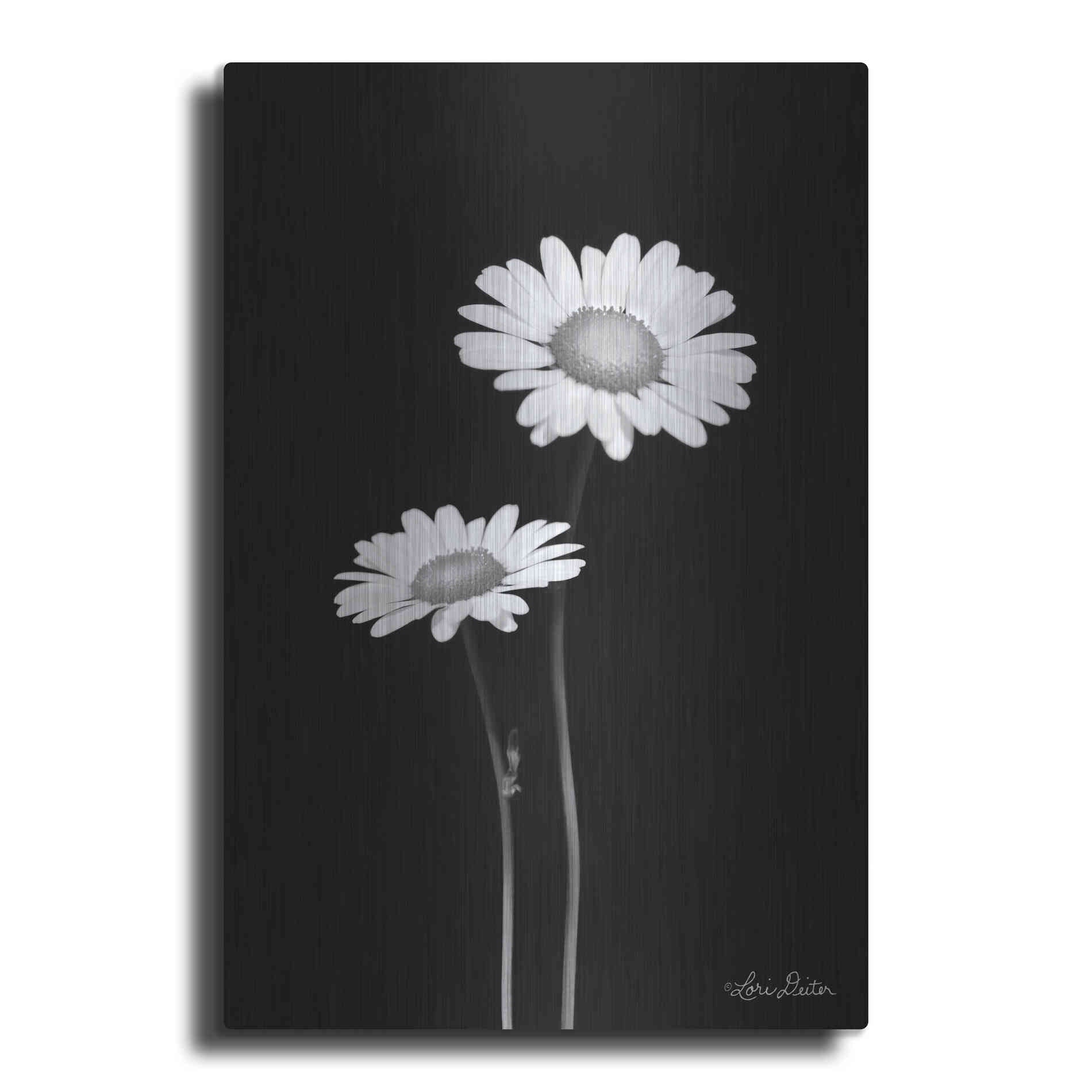 Luxe Metal Art 'Pair of Daisies' by Lori Deiter, Metal Wall Art