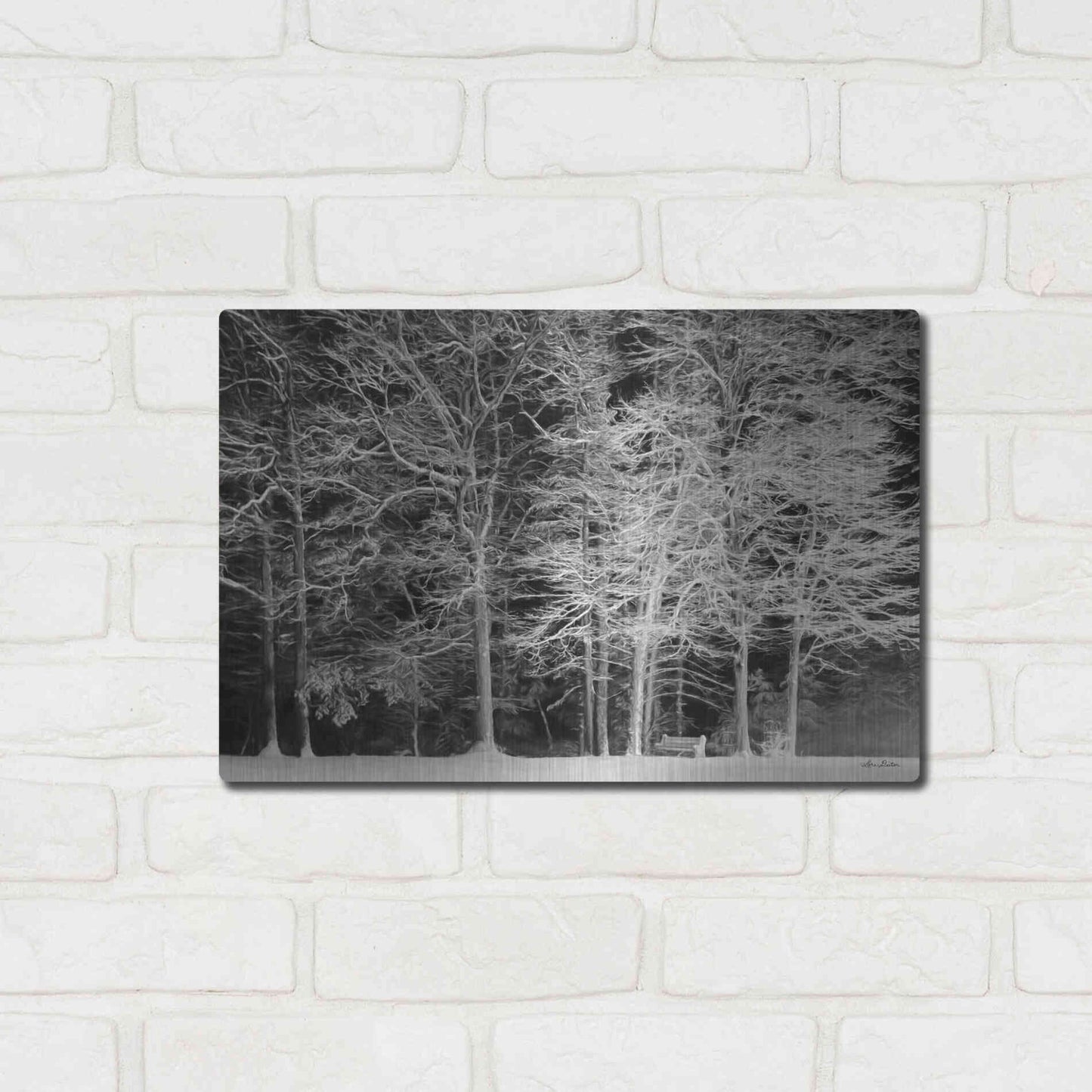 Luxe Metal Art 'Snowy Trees' by Lori Deiter, Metal Wall Art,16x12