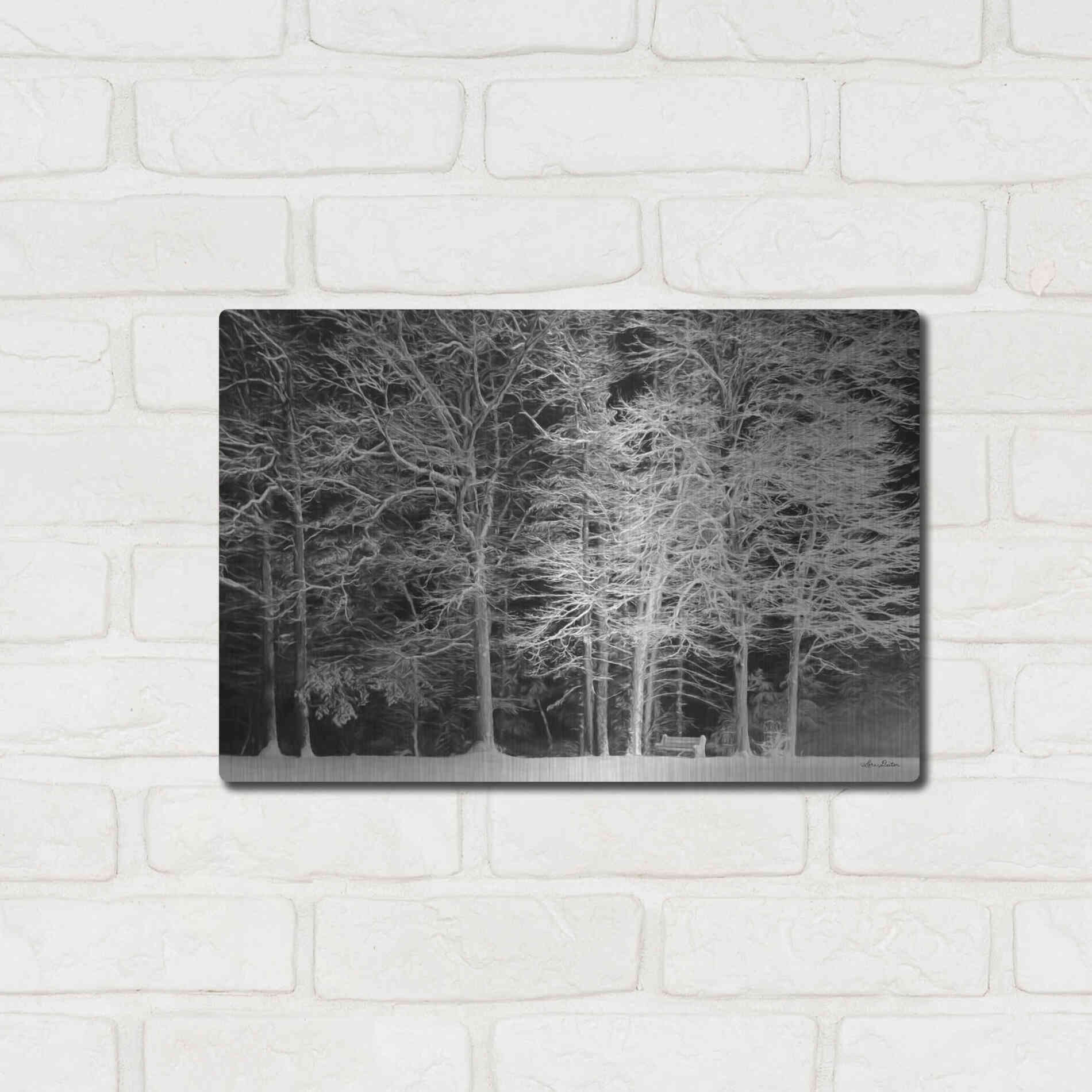 Luxe Metal Art 'Snowy Trees' by Lori Deiter, Metal Wall Art,16x12