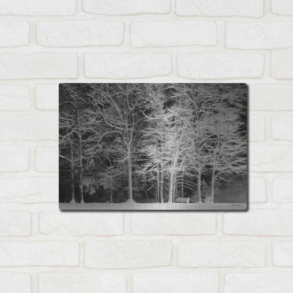 Luxe Metal Art 'Snowy Trees' by Lori Deiter, Metal Wall Art,16x12
