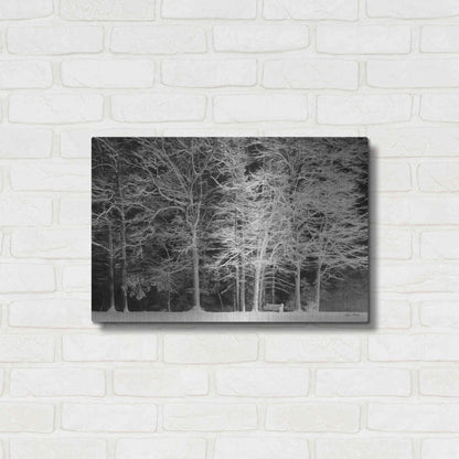 Luxe Metal Art 'Snowy Trees' by Lori Deiter, Metal Wall Art,24x16