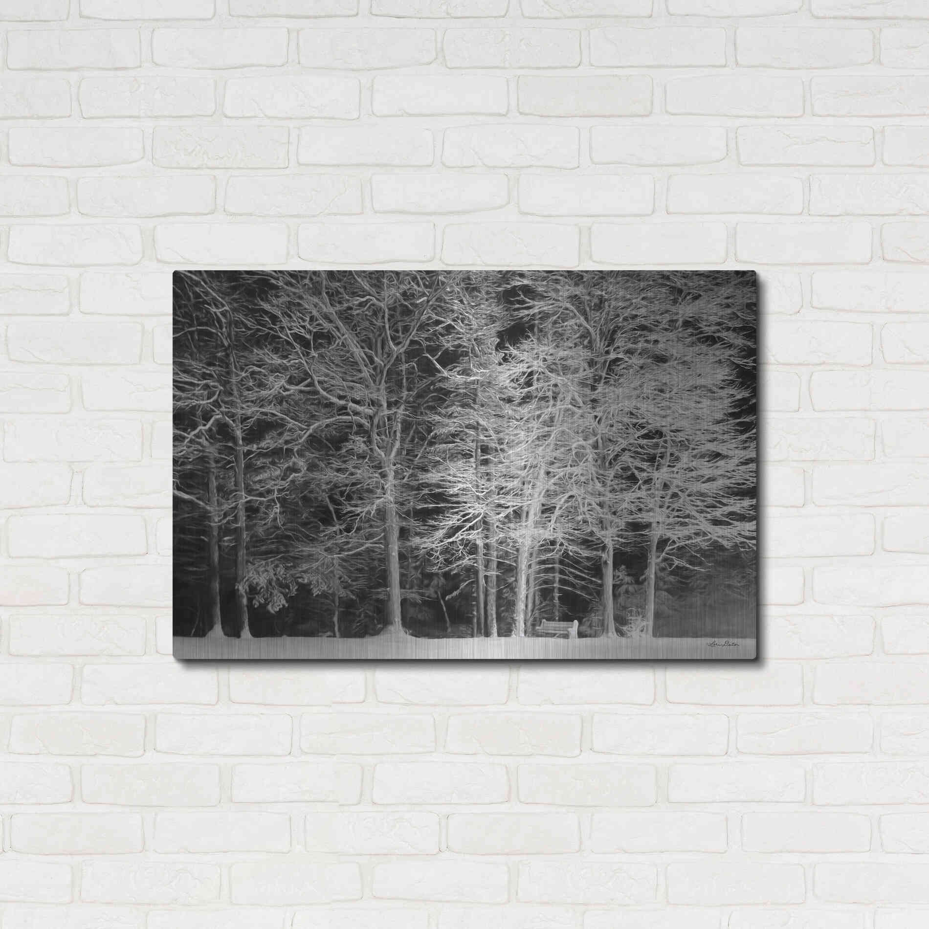 Luxe Metal Art 'Snowy Trees' by Lori Deiter, Metal Wall Art,36x24