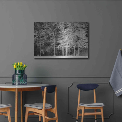Luxe Metal Art 'Snowy Trees' by Lori Deiter, Metal Wall Art,36x24