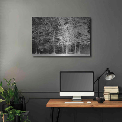 Luxe Metal Art 'Snowy Trees' by Lori Deiter, Metal Wall Art,36x24