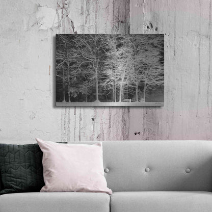 Luxe Metal Art 'Snowy Trees' by Lori Deiter, Metal Wall Art,36x24