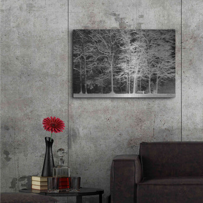 Luxe Metal Art 'Snowy Trees' by Lori Deiter, Metal Wall Art,36x24