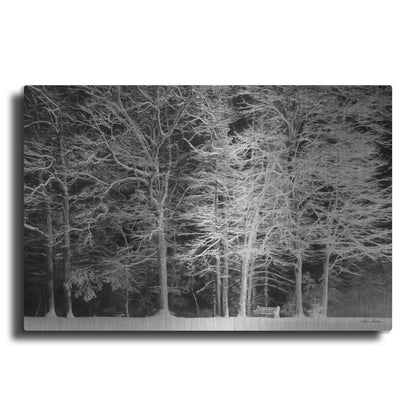 Luxe Metal Art 'Snowy Trees' by Lori Deiter, Metal Wall Art