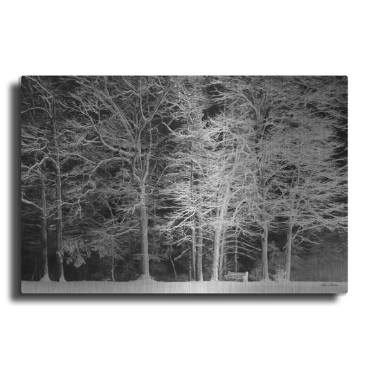 Luxe Metal Art 'Snowy Trees' by Lori Deiter, Metal Wall Art
