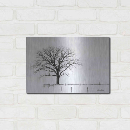 Luxe Metal Art 'Bare' by Lori Deiter, Metal Wall Art,16x12