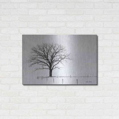 Luxe Metal Art 'Bare' by Lori Deiter, Metal Wall Art,36x24